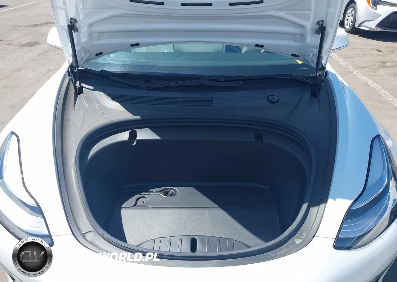2020 Tesla Model 3 Standard Range Plus Rear-Wheel Drive-Standard Range Rear-Wheel Drive VIN:5YJ3E1EA9LF515669 - 10