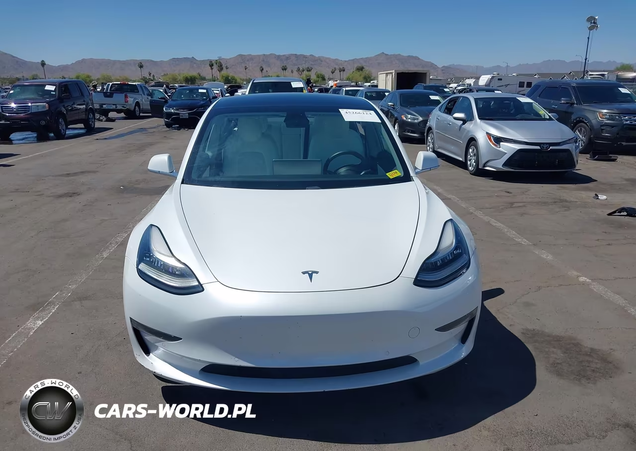 2020 Tesla Model 3 Standard Range Plus Rear-Wheel Drive-Standard Range Rear-Wheel Drive VIN:5YJ3E1EA9LF515669 - 13