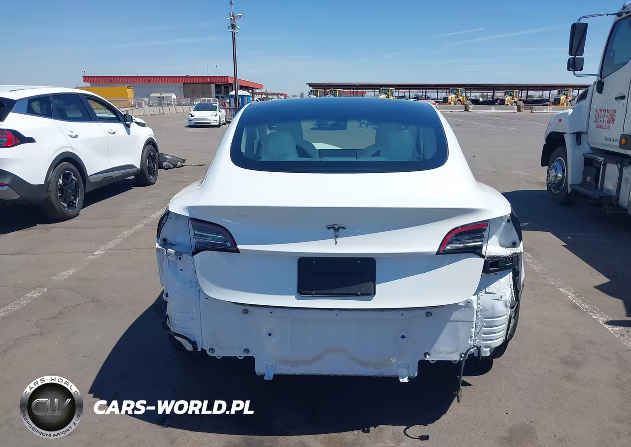2020 Tesla Model 3 Standard Range Plus Rear-Wheel Drive-Standard Range Rear-Wheel Drive VIN:5YJ3E1EA9LF515669 - 17