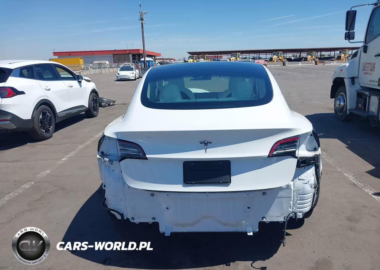 2020 Tesla Model 3 Standard Range Plus Rear-Wheel Drive-Standard Range Rear-Wheel Drive VIN:5YJ3E1EA9LF515669 - 6