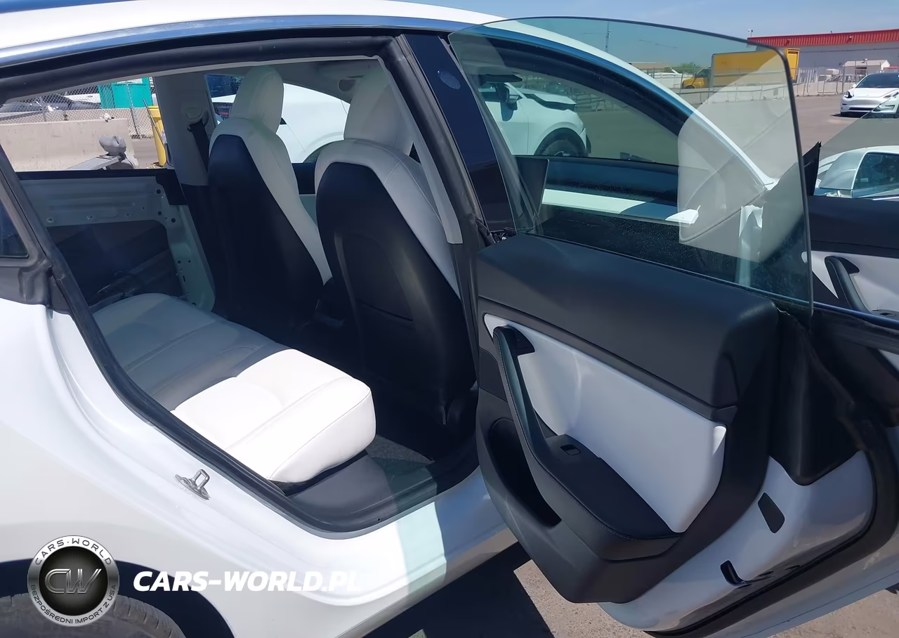 2020 Tesla Model 3 Standard Range Plus Rear-Wheel Drive-Standard Range Rear-Wheel Drive VIN:5YJ3E1EA9LF515669 - 8