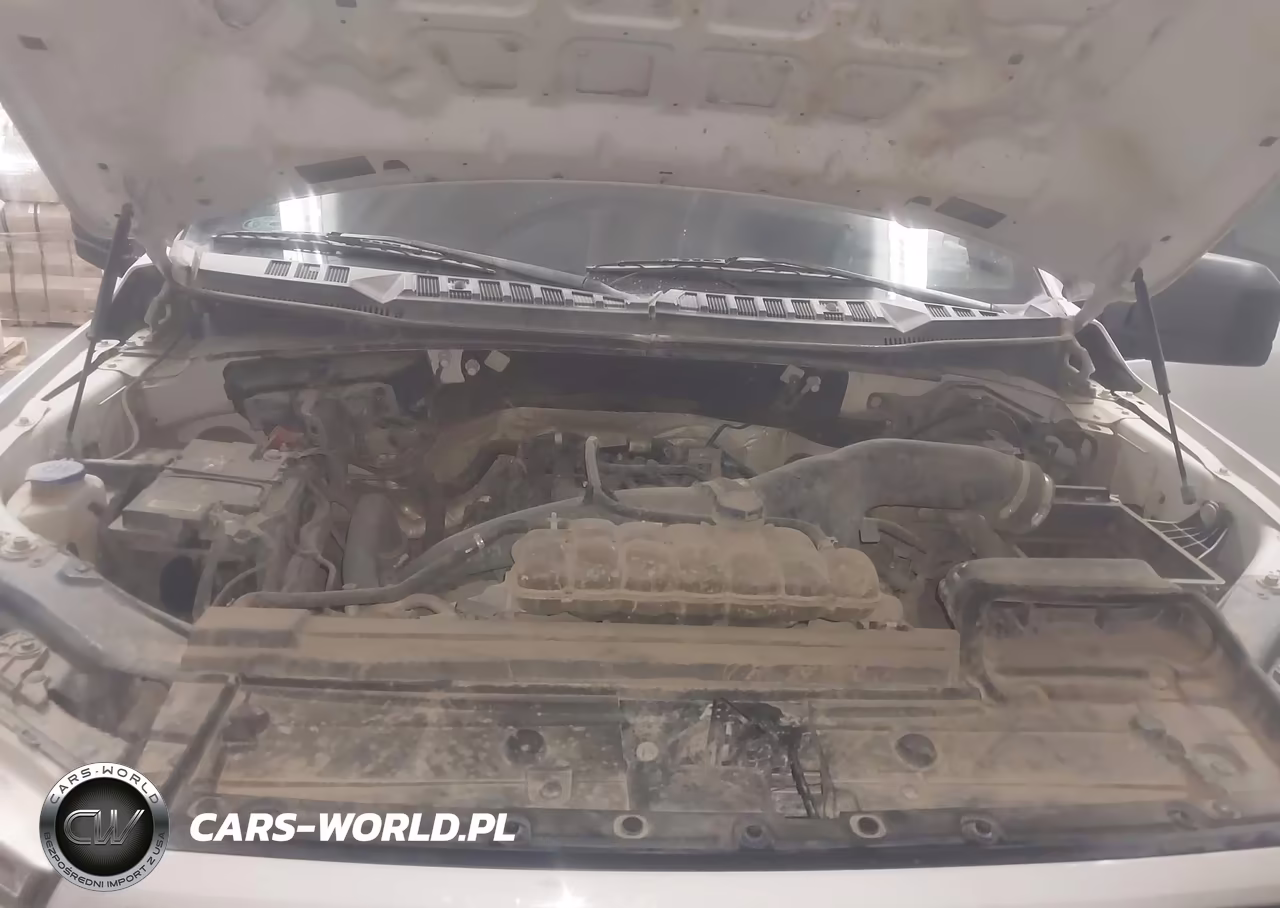 2020 Ford F-150 Xl VIN:1FTEW1EP5LKE80206 - 10