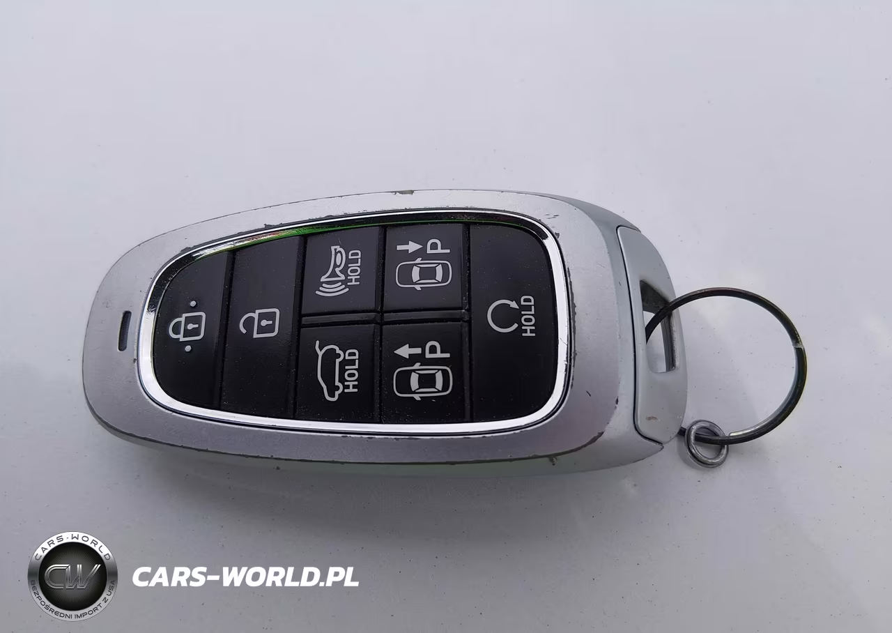 2023 Hyundai Santa Fe Calligraphy VIN:5NMS5DAL4PH492326 - 11