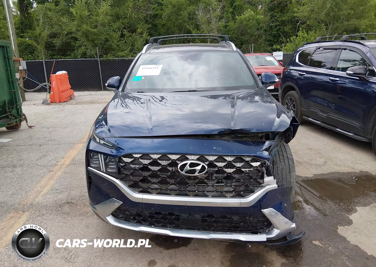 2023 Hyundai Santa Fe Calligraphy VIN:5NMS5DAL4PH492326 - 13