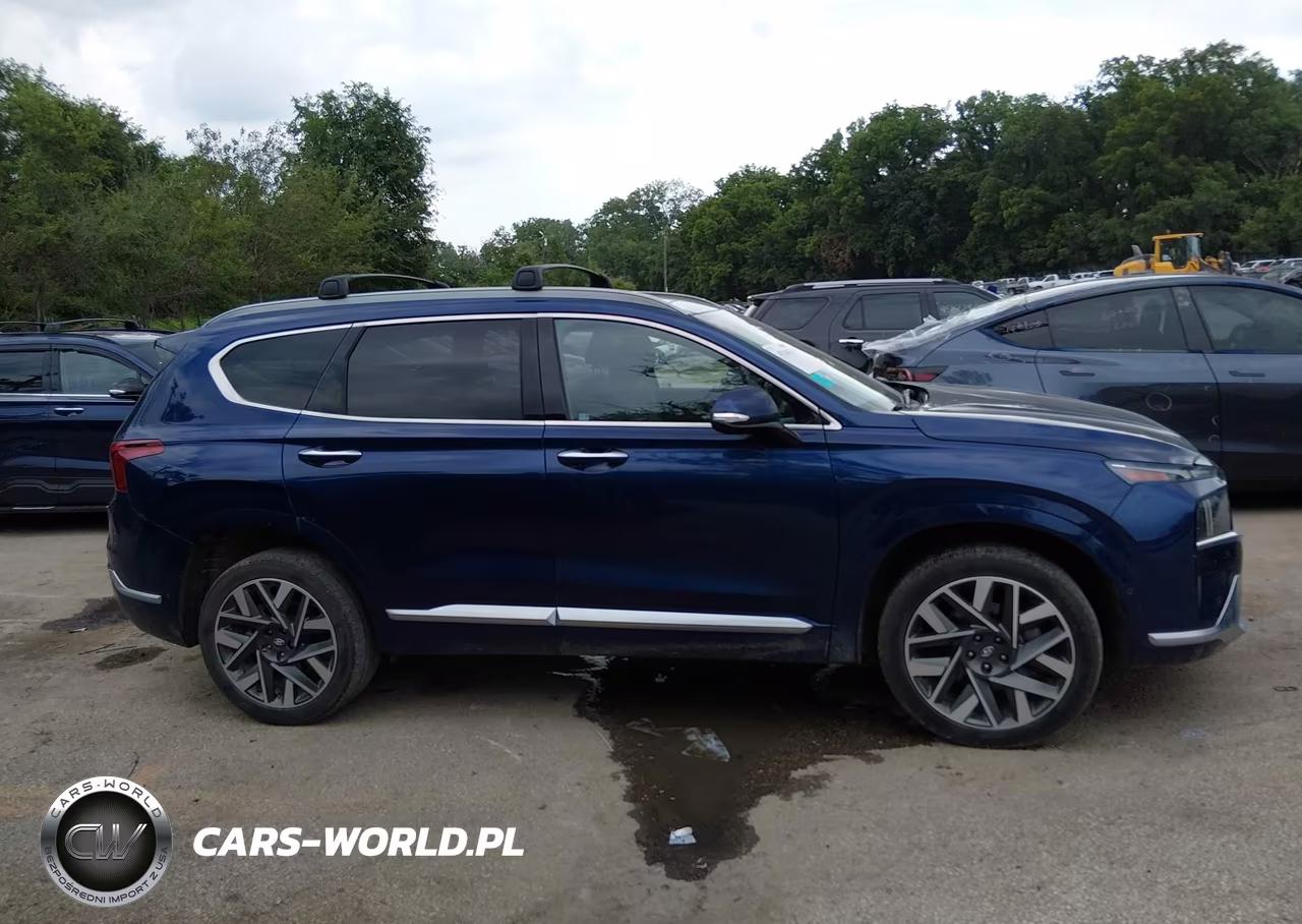 2023 Hyundai Santa Fe Calligraphy VIN:5NMS5DAL4PH492326 - 14