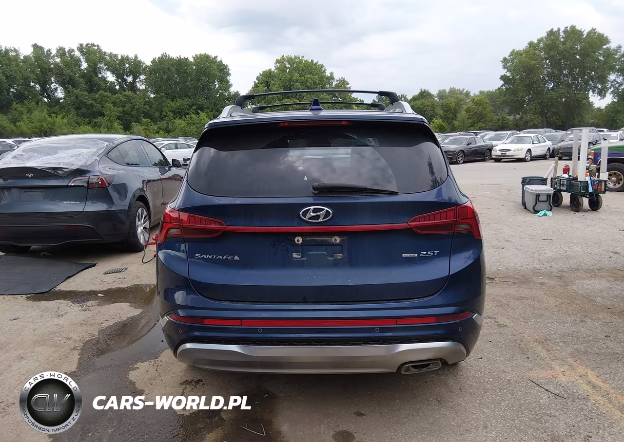 2023 Hyundai Santa Fe Calligraphy VIN:5NMS5DAL4PH492326 - 17