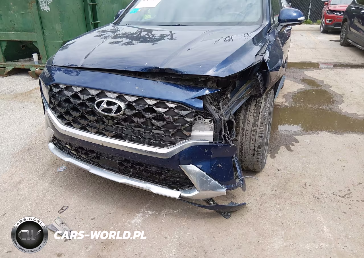 2023 Hyundai Santa Fe Calligraphy VIN:5NMS5DAL4PH492326 - 19