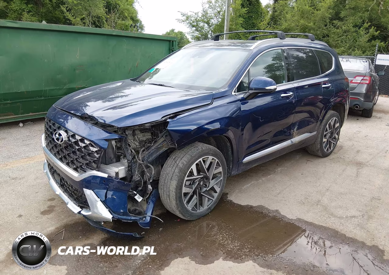 2023 Hyundai Santa Fe Calligraphy VIN:5NMS5DAL4PH492326 - 2