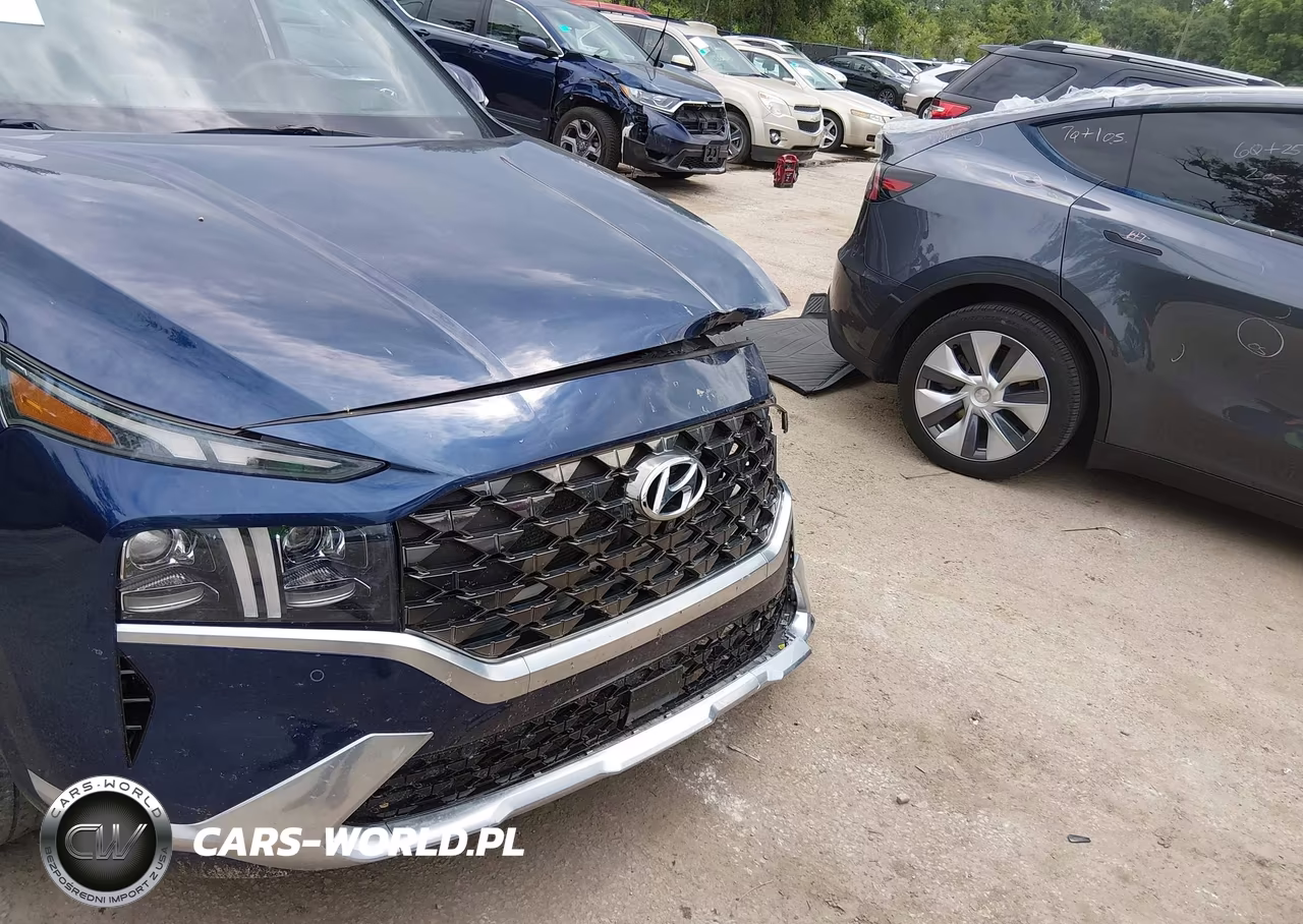 2023 Hyundai Santa Fe Calligraphy VIN:5NMS5DAL4PH492326 - 20