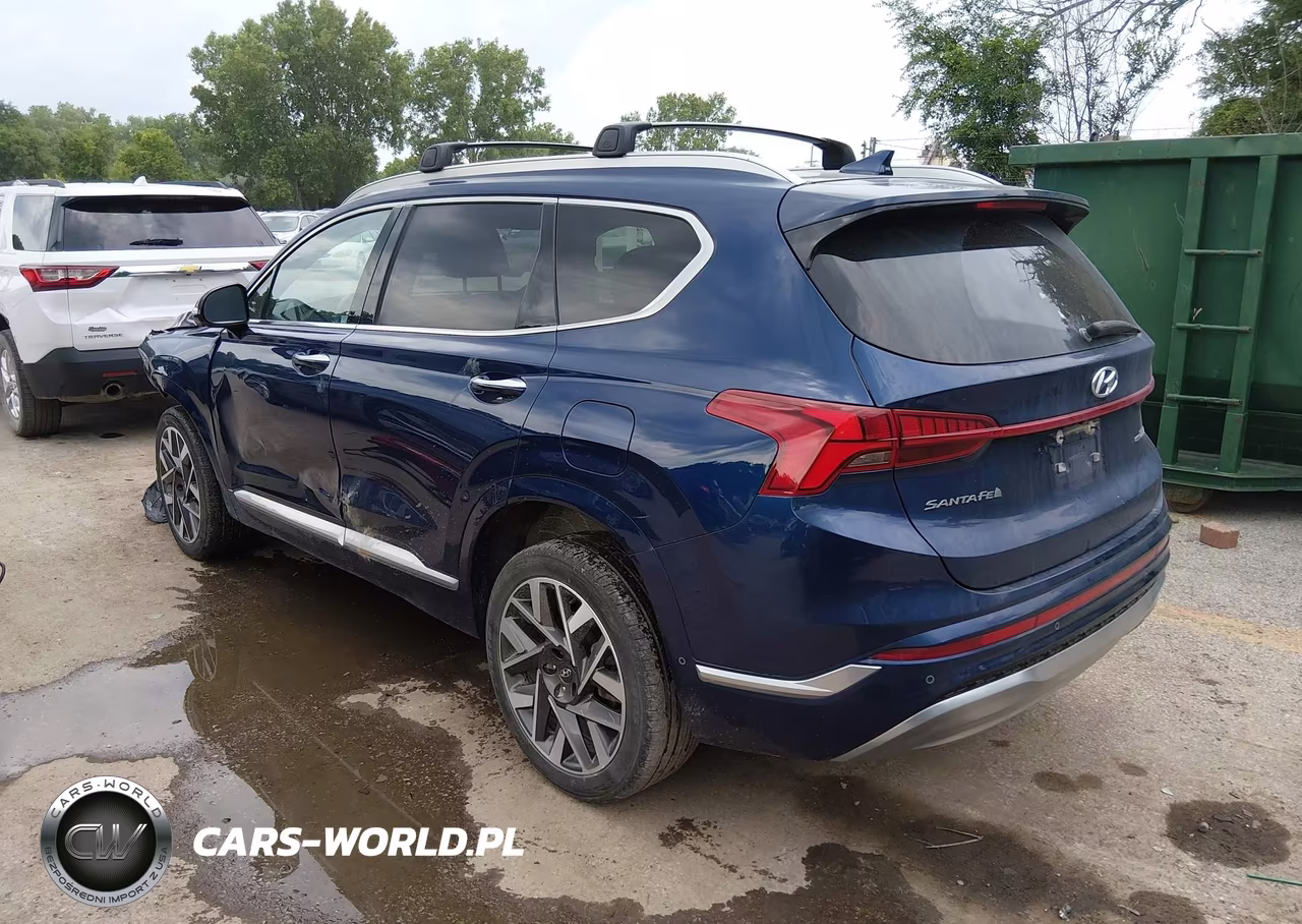 2023 Hyundai Santa Fe Calligraphy VIN:5NMS5DAL4PH492326 - 3
