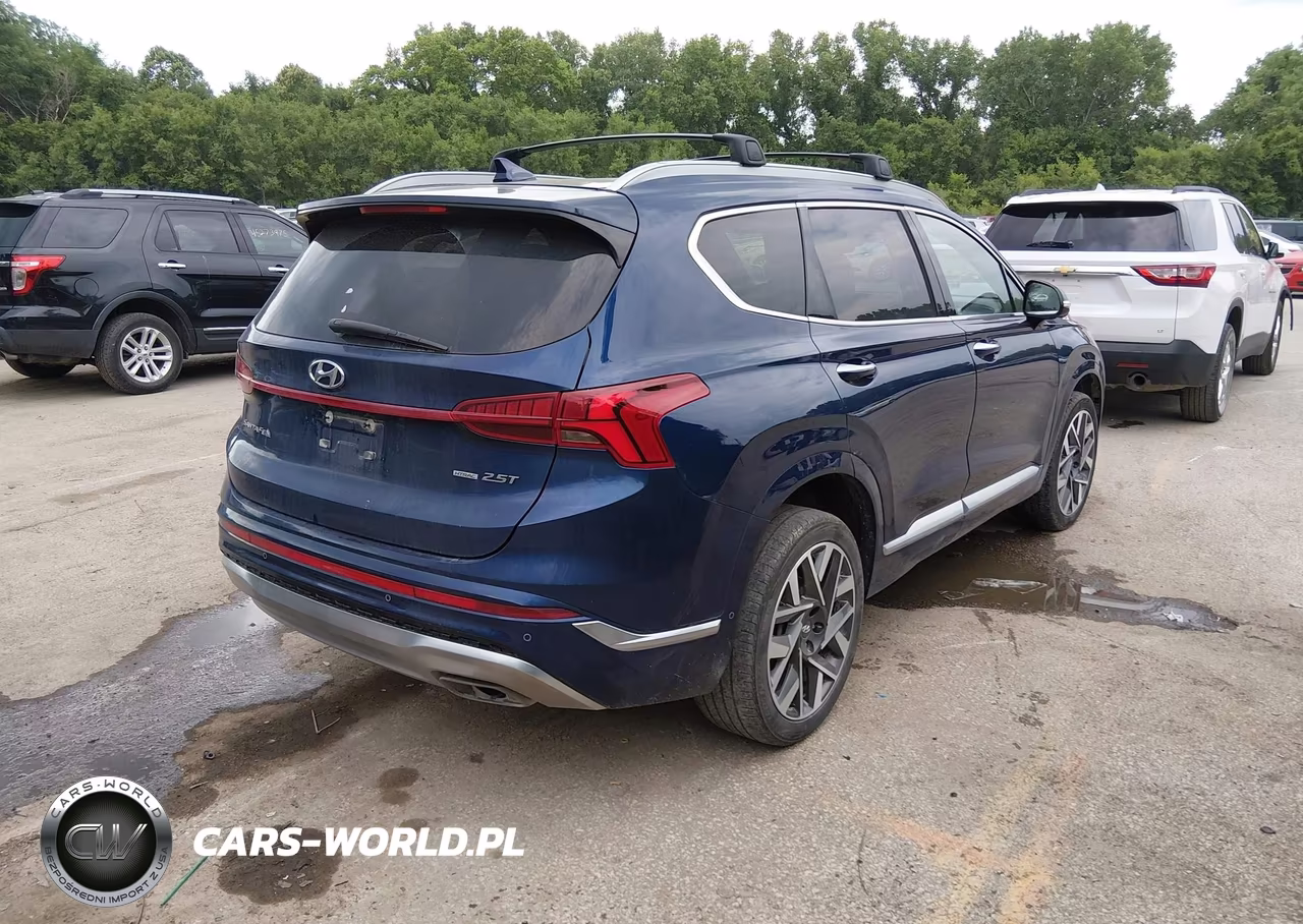 2023 Hyundai Santa Fe Calligraphy VIN:5NMS5DAL4PH492326 - 4