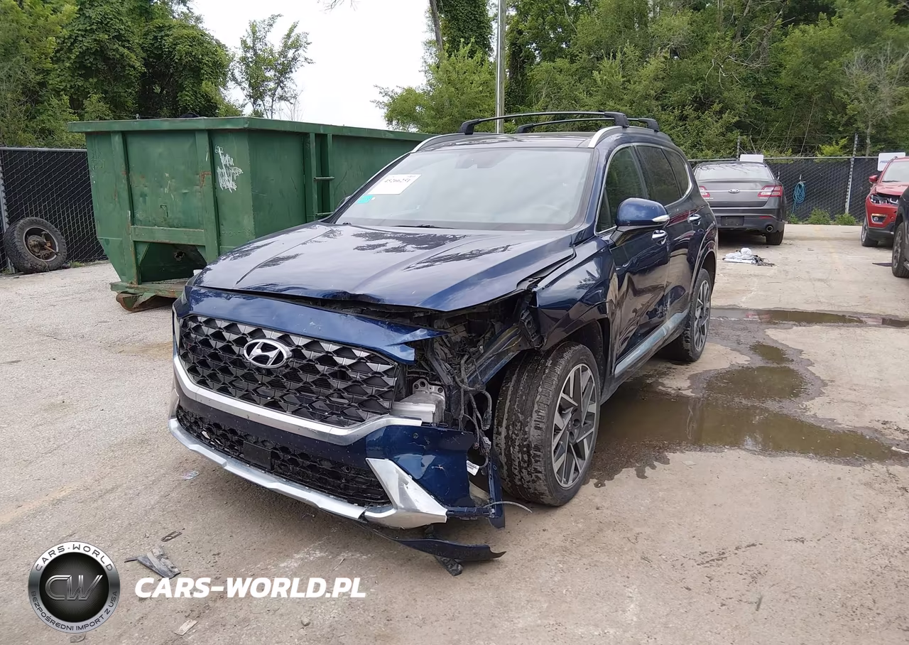 2023 Hyundai Santa Fe Calligraphy VIN:5NMS5DAL4PH492326 - 6