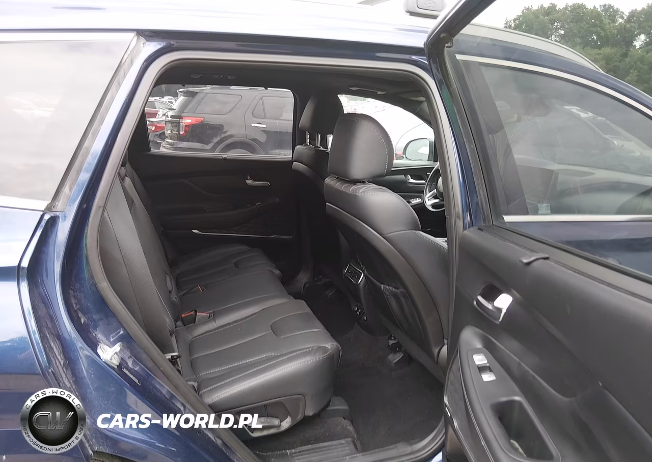 2023 Hyundai Santa Fe Calligraphy VIN:5NMS5DAL4PH492326 - 8