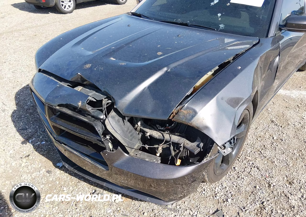 2014 Dodge Charger Sxt VIN:2C3CDXHG4EH257780 - 6