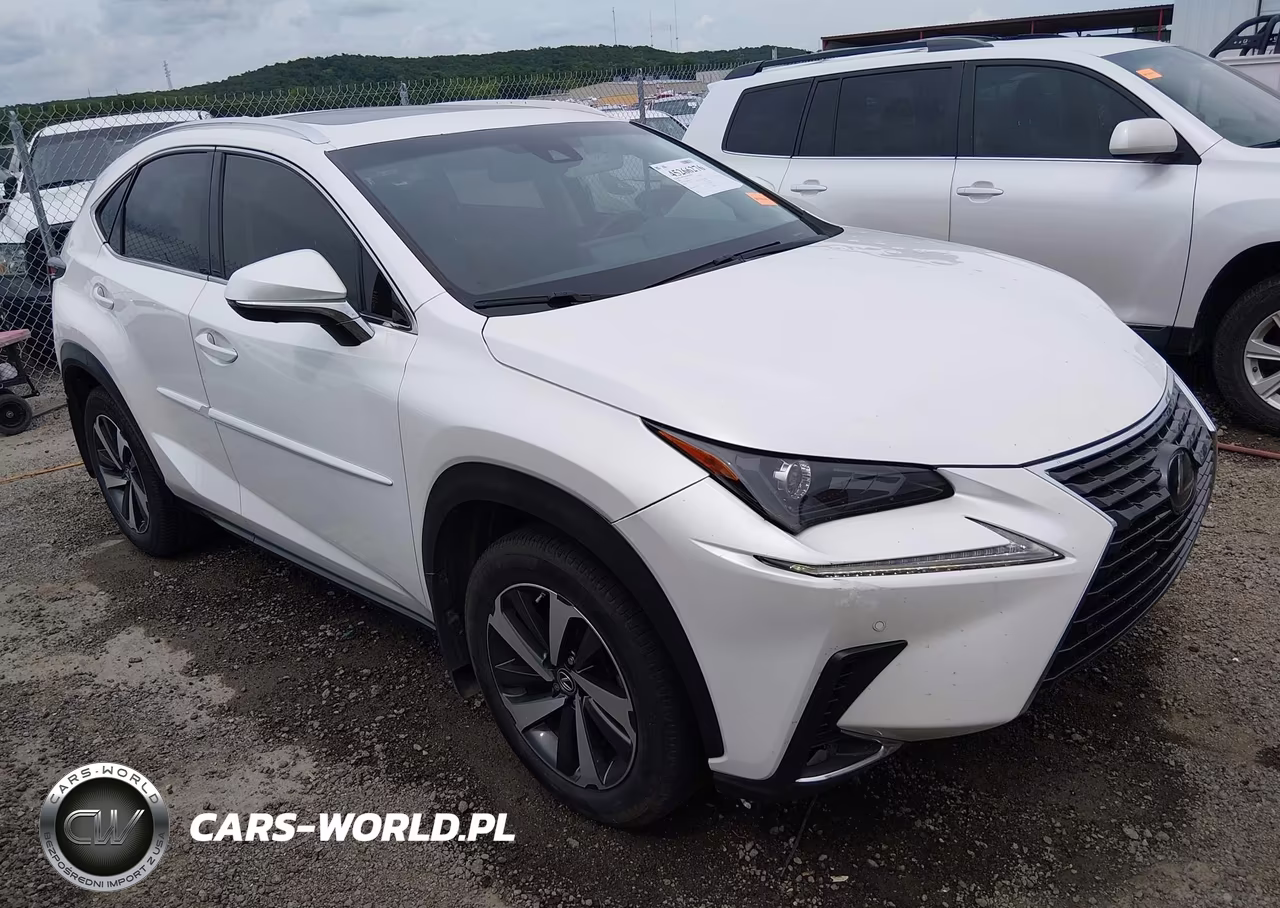 2019 Lexus Nx 300