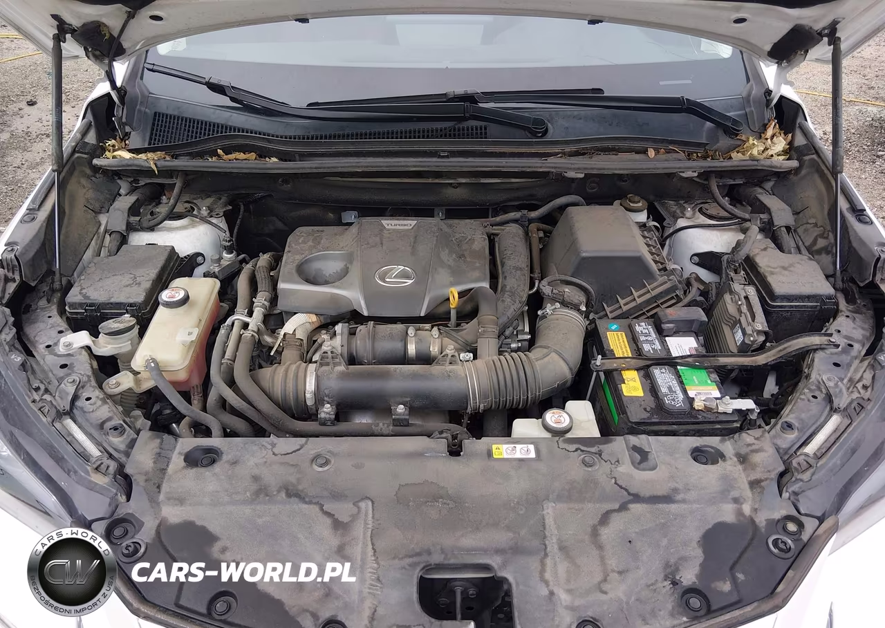 2019 Lexus Nx 300 VIN:JTJYARBZ4K2142243 - 10