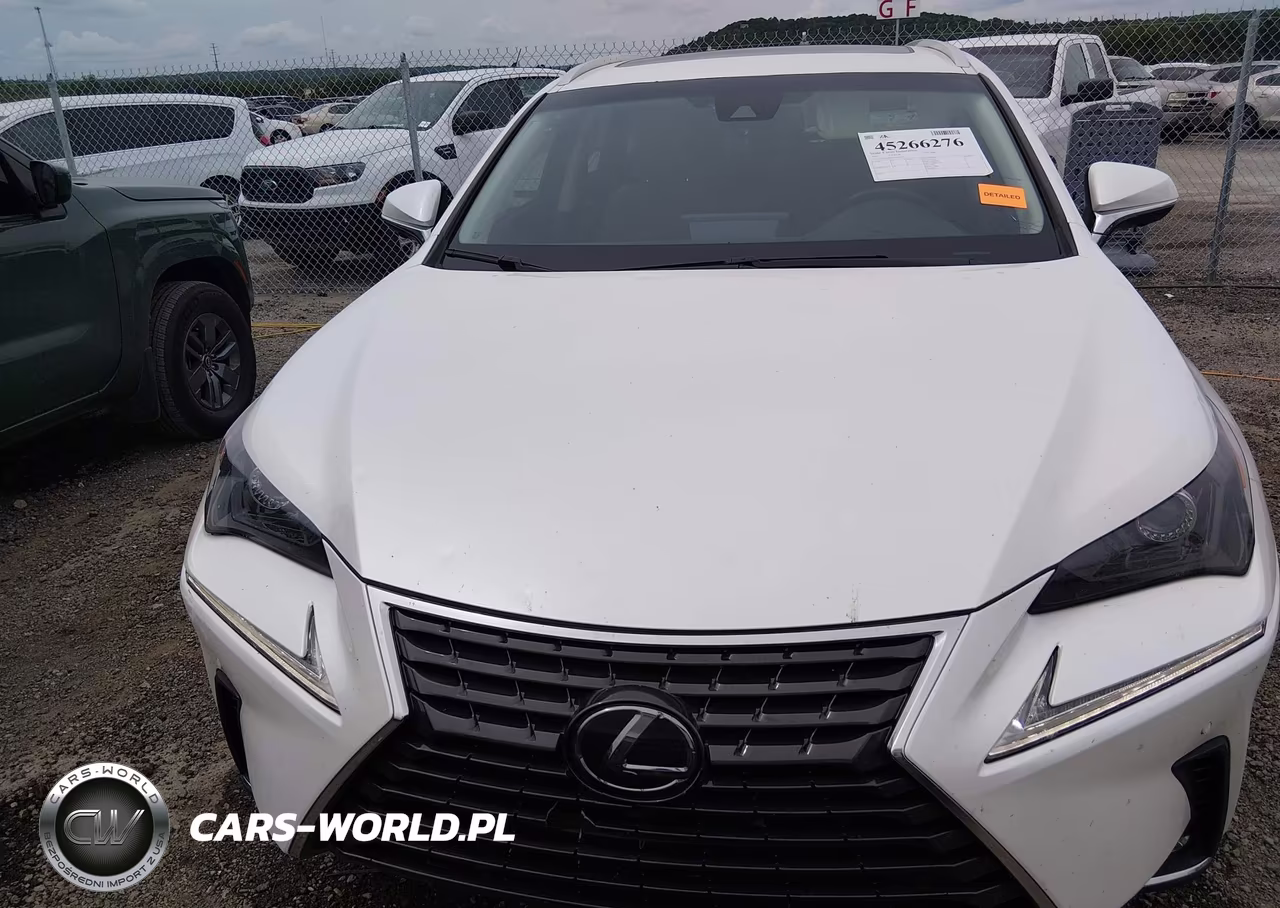 2019 Lexus Nx 300 VIN:JTJYARBZ4K2142243 - 12