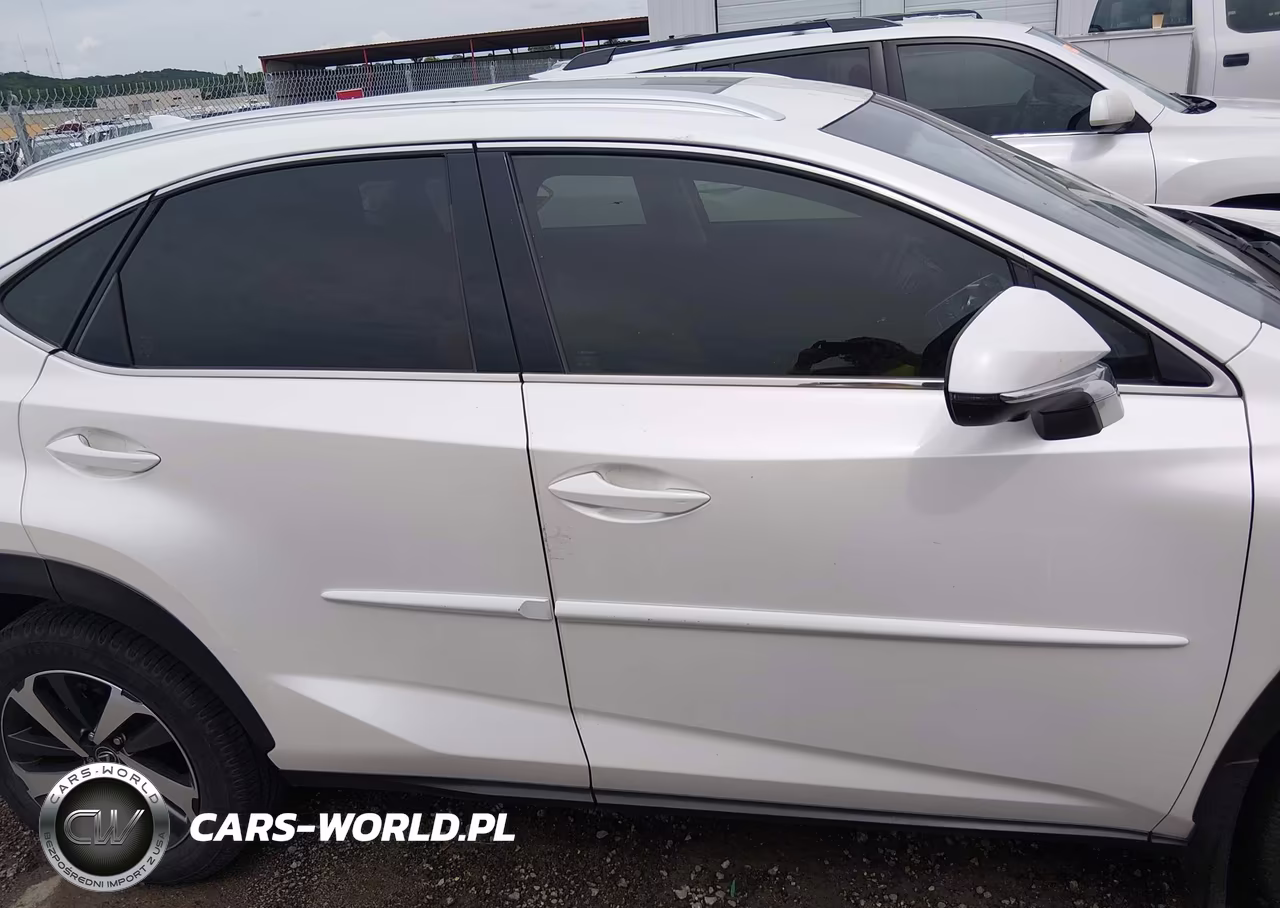 2019 Lexus Nx 300 VIN:JTJYARBZ4K2142243 - 13