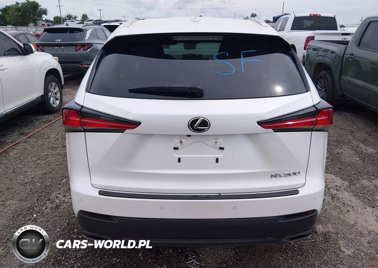 2019 Lexus Nx 300 VIN:JTJYARBZ4K2142243 - 16