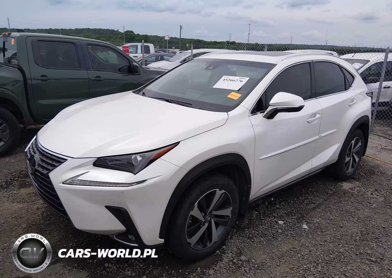 2019 Lexus Nx 300 VIN:JTJYARBZ4K2142243 - 2