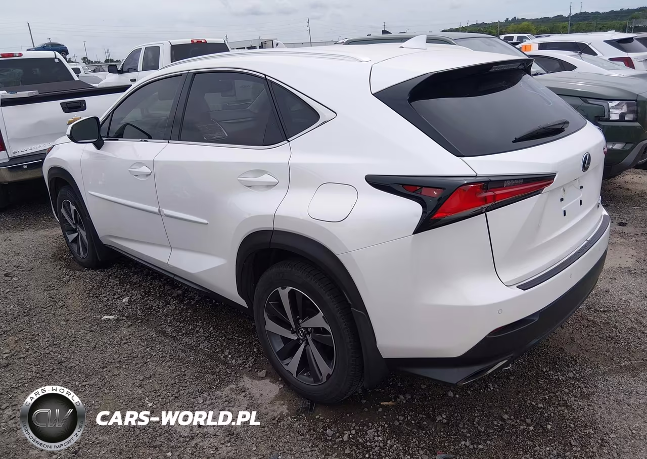 2019 Lexus Nx 300 VIN:JTJYARBZ4K2142243 - 3
