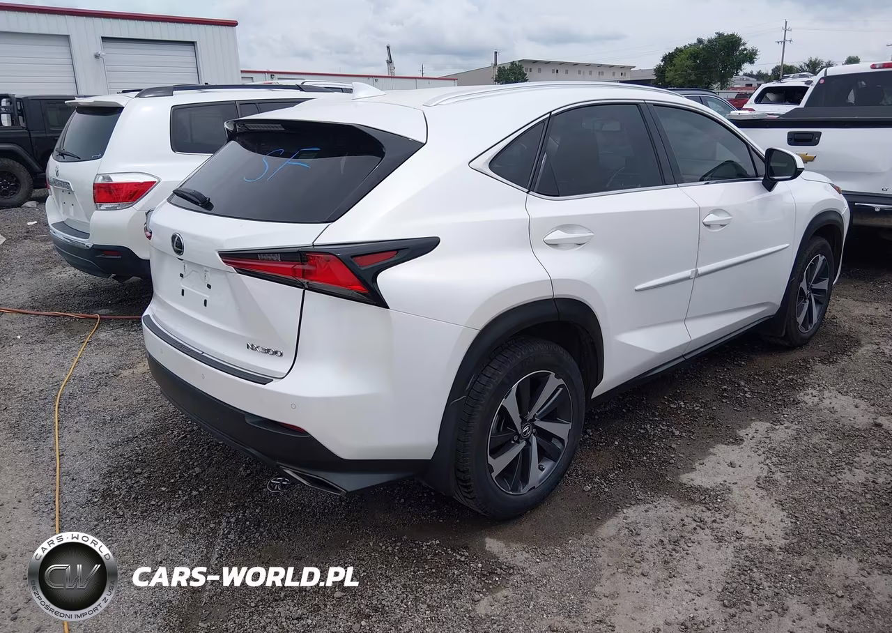 2019 Lexus Nx 300 VIN:JTJYARBZ4K2142243 - 4