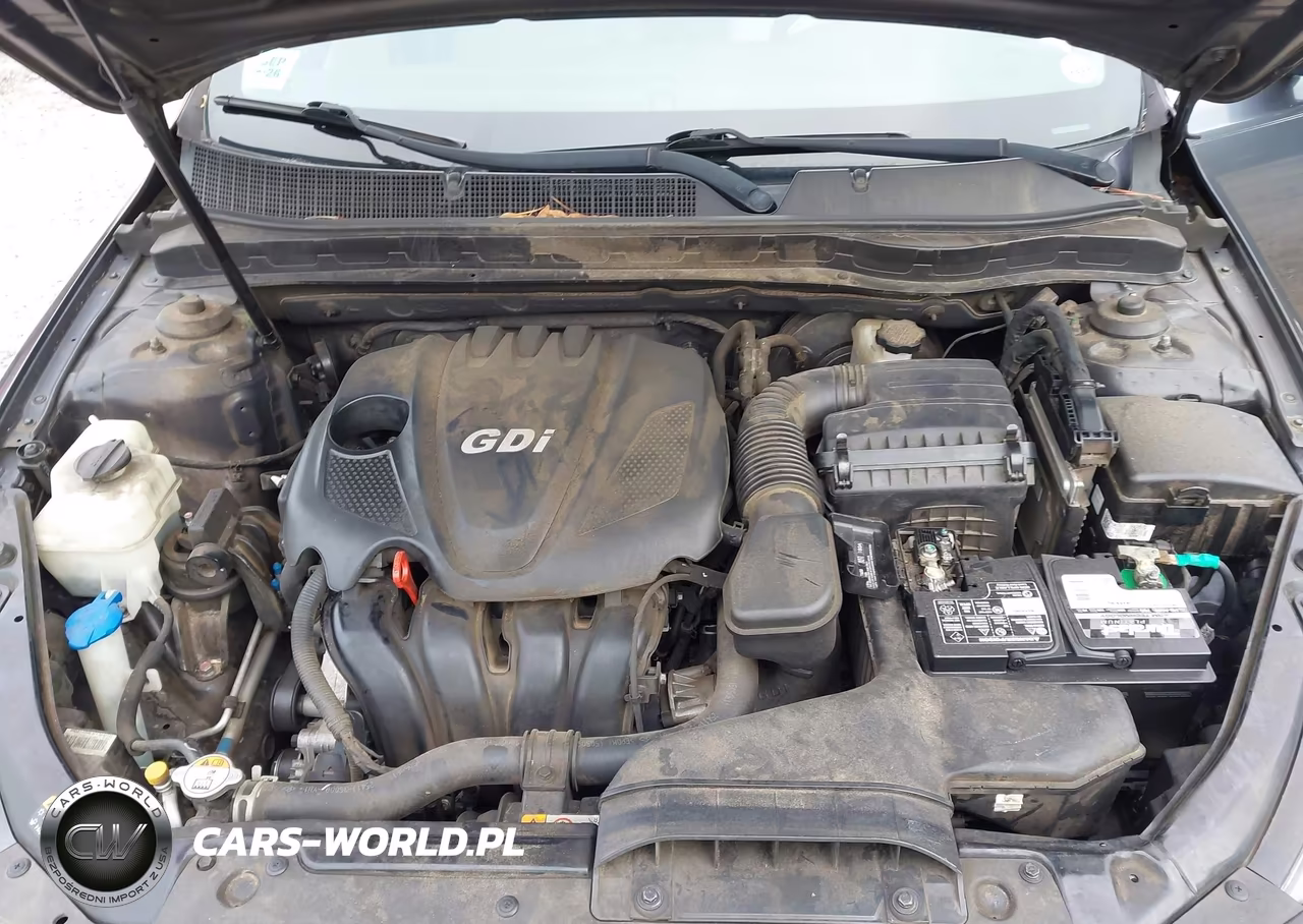 2015 Kia Optima Lx VIN:KNAGM4A78F5649205 - 10