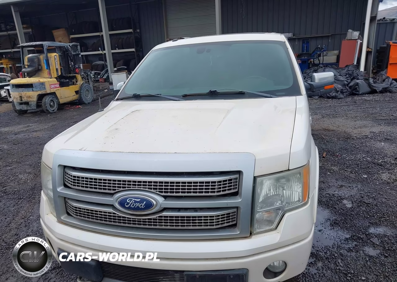 2011 Ford F-150 Platinum VIN:1FTFW1ET7BFA67339 - 10