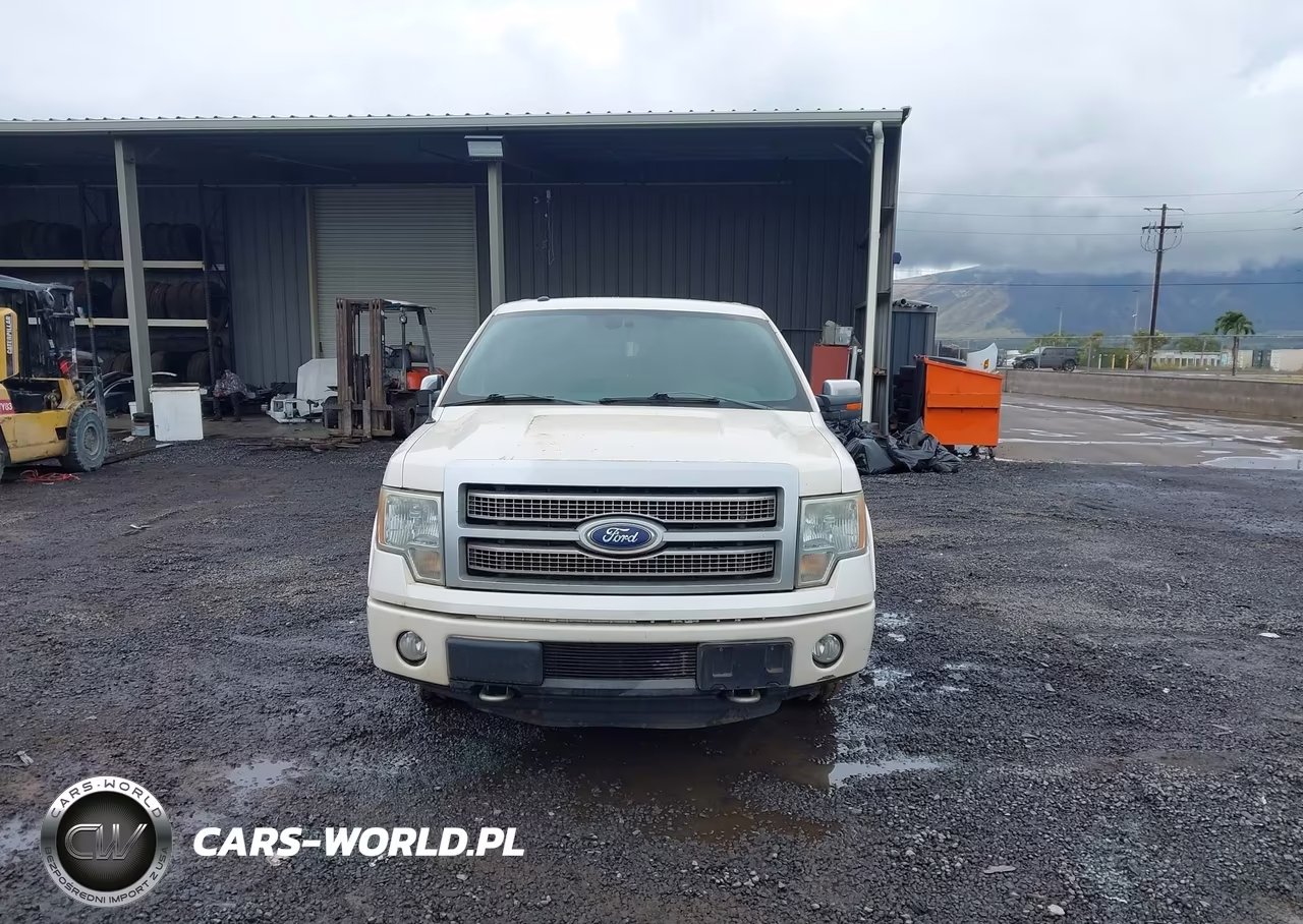 2011 Ford F-150 Platinum VIN:1FTFW1ET7BFA67339 - 12