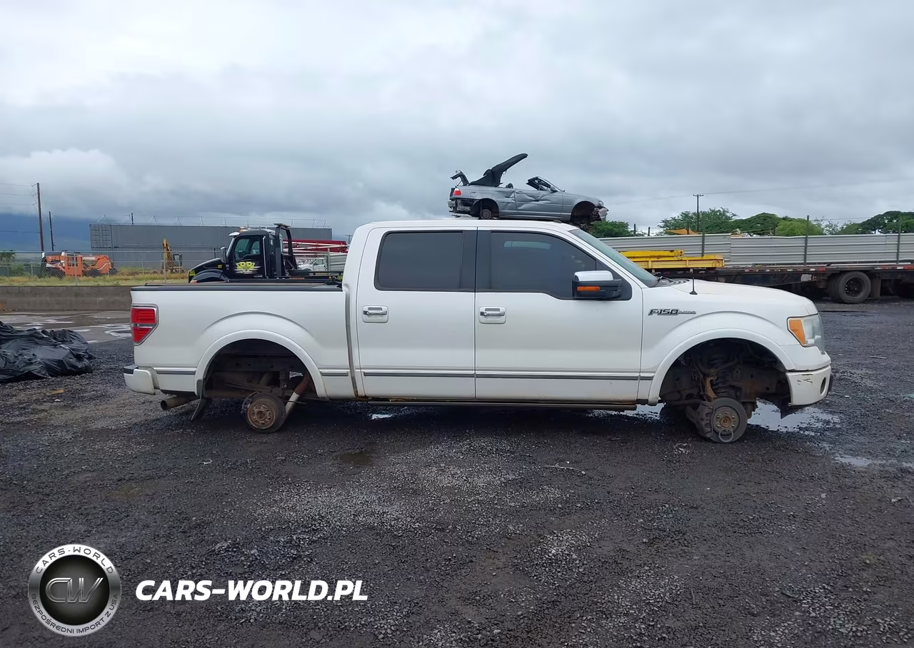 2011 Ford F-150 Platinum VIN:1FTFW1ET7BFA67339 - 13