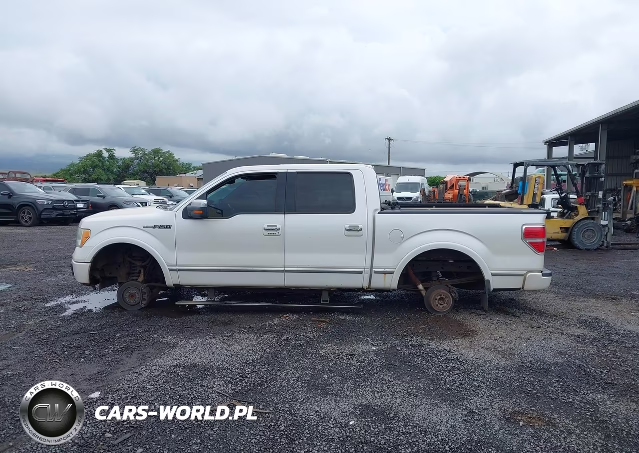 2011 Ford F-150 Platinum VIN:1FTFW1ET7BFA67339 - 14