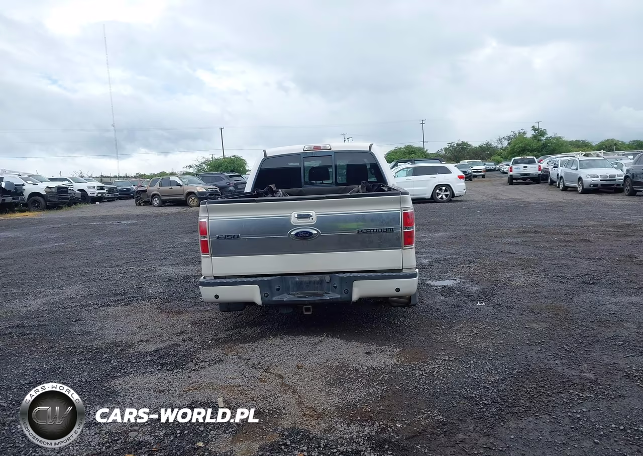 2011 Ford F-150 Platinum VIN:1FTFW1ET7BFA67339 - 16