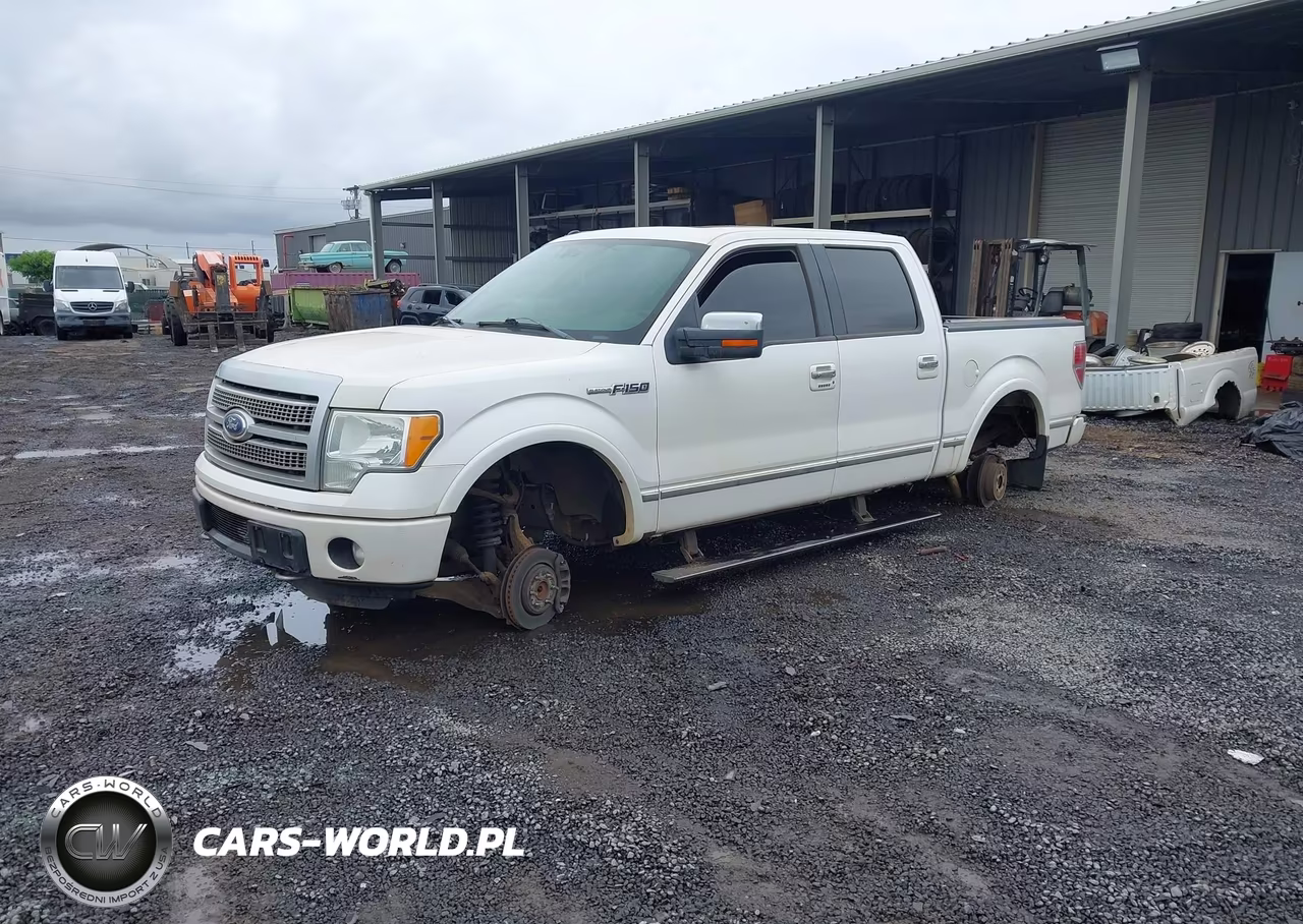 2011 Ford F-150 Platinum VIN:1FTFW1ET7BFA67339 - 2