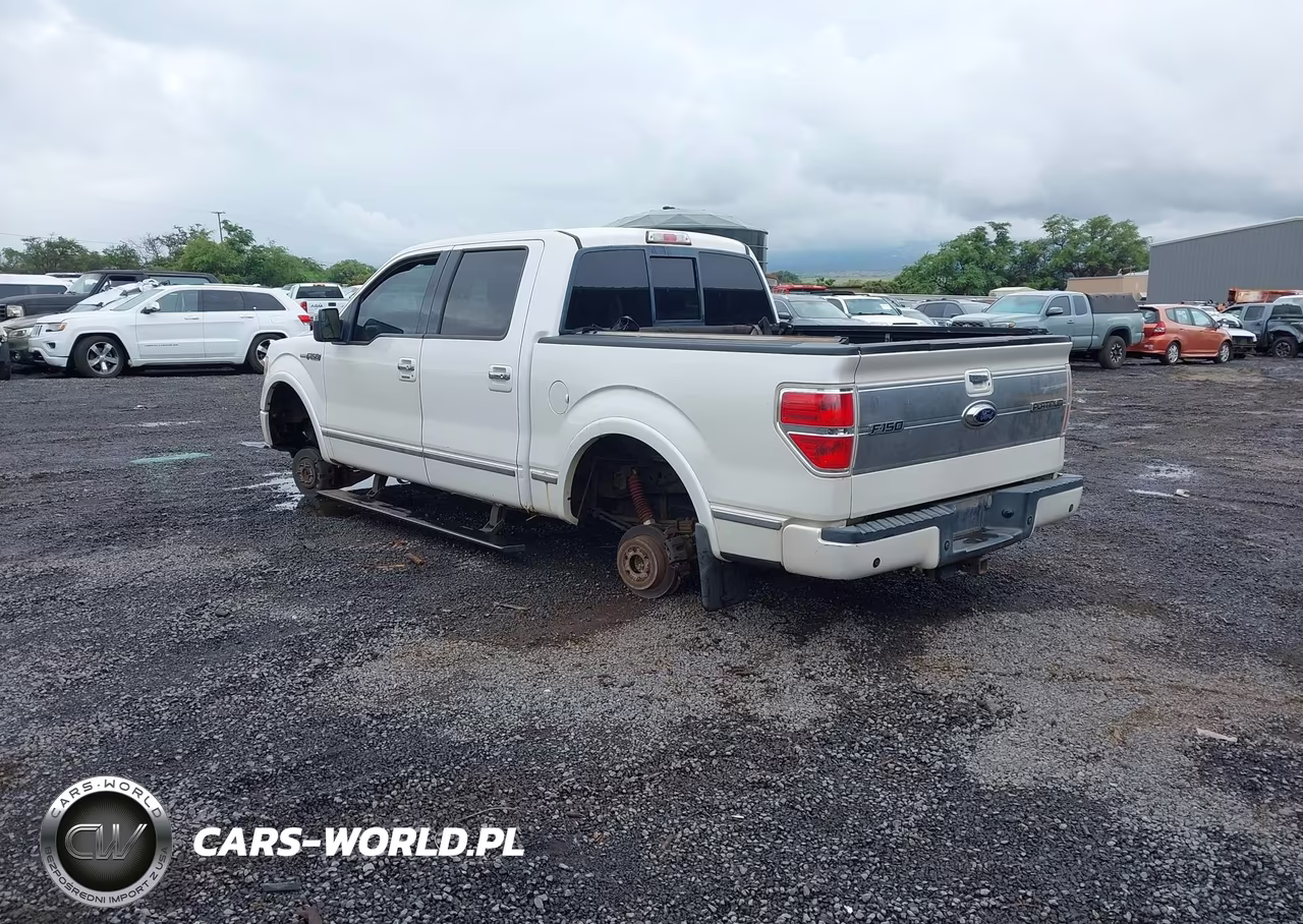 2011 Ford F-150 Platinum VIN:1FTFW1ET7BFA67339 - 3