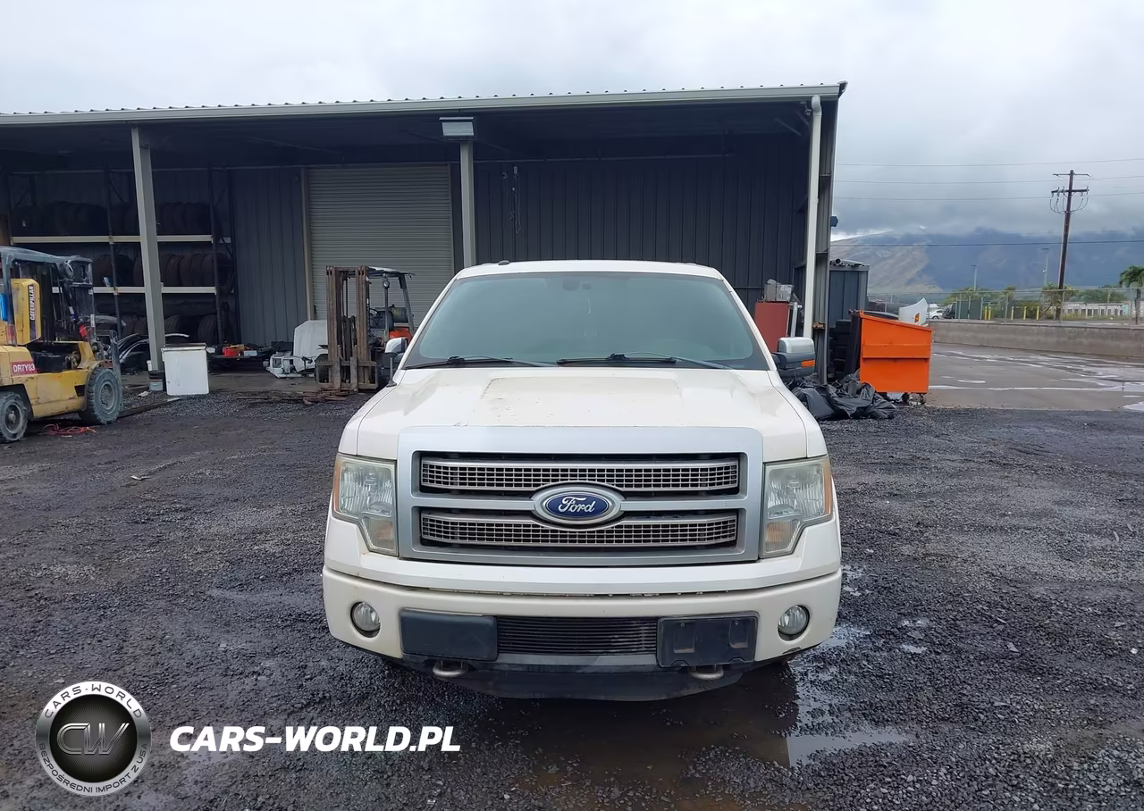 2011 Ford F-150 Platinum VIN:1FTFW1ET7BFA67339 - 6