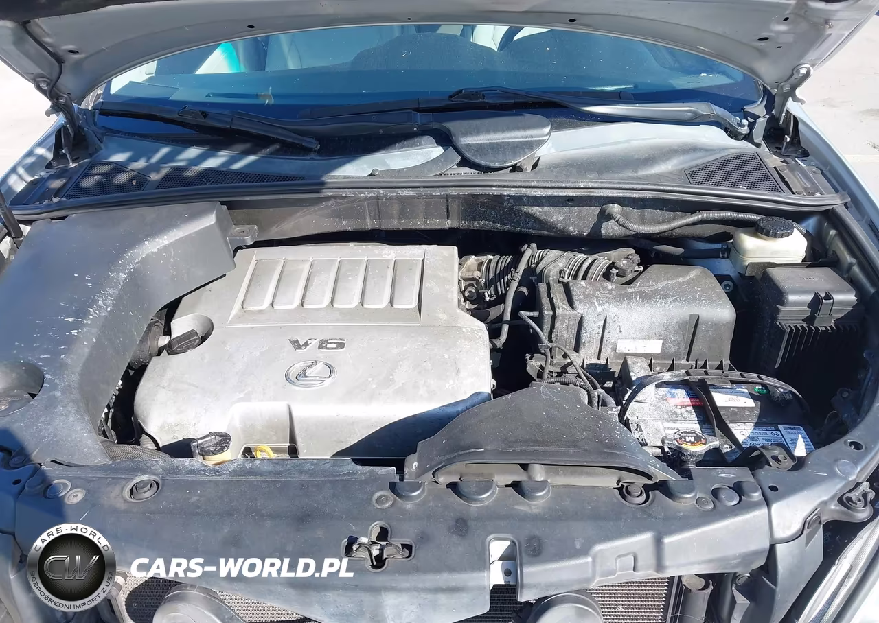2009 Lexus Rx 350 VIN:2T2HK31U19C120744 - 10
