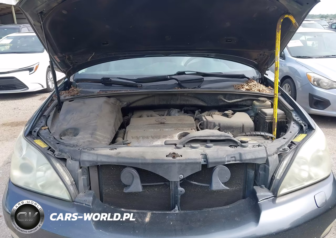 2005 Lexus Rx 330 VIN:JTJGA31U350056579 - 10