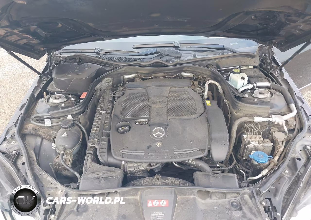 2013 Mercedes-Benz E 350 VIN:WDDHF5KB4DA719562 - 10