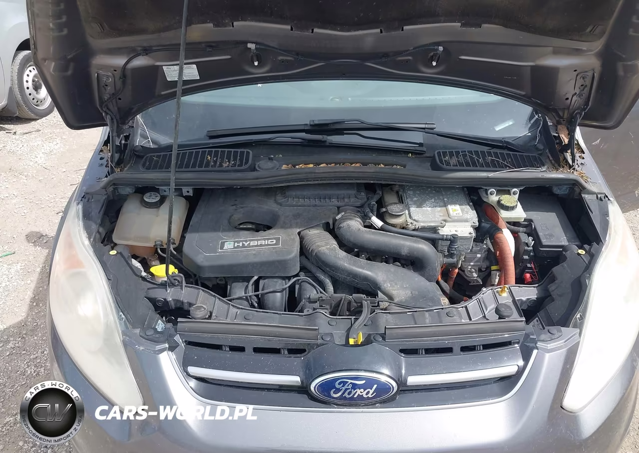 2013 Ford C-Max Hybrid Sel VIN:1FADP5BU5DL513393 - 10
