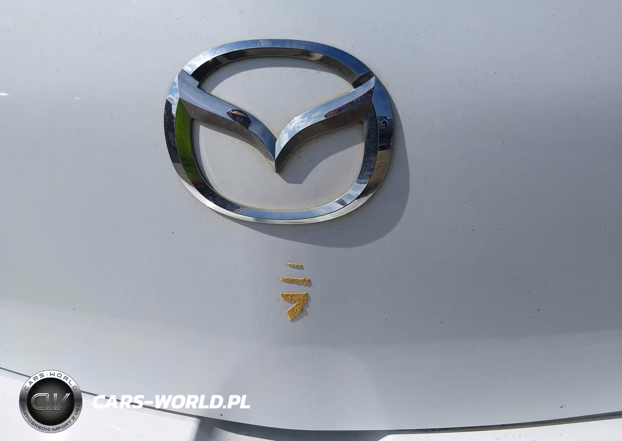 2007 Mazda Mazda3 S Touring VIN:JM1BK343171643664 - 13