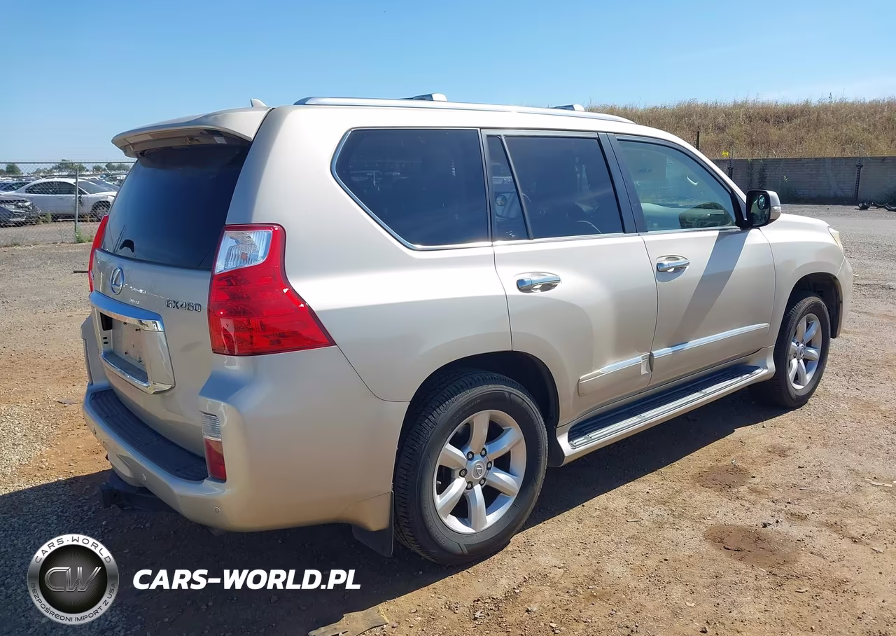 2010 Lexus Gx 460 Premium VIN:JTJJM7FX0A5002404 - 4