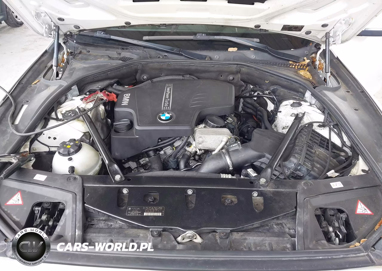 2014 BMW 528I VIN:WBA5A5C51ED502116 - 10
