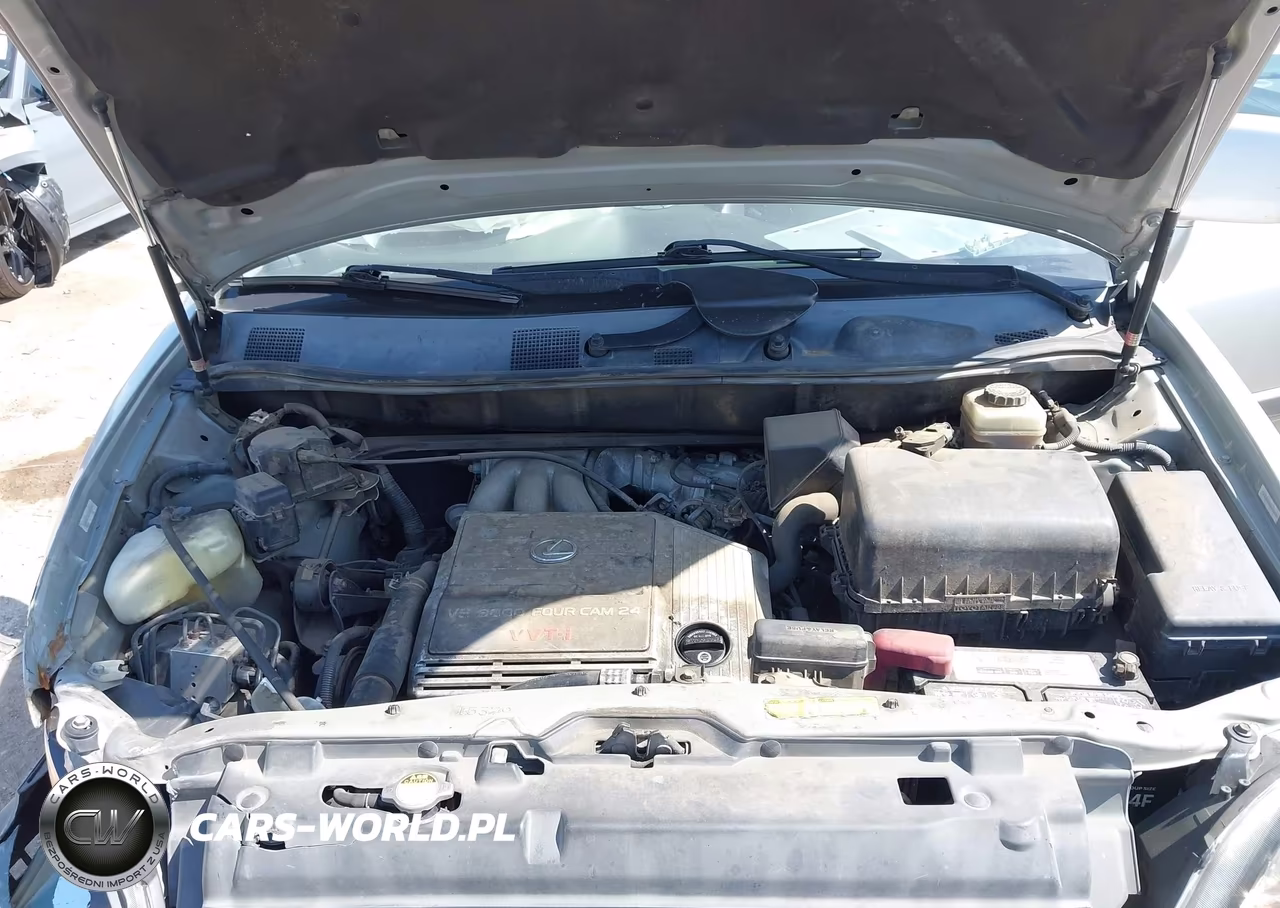2003 Lexus Rx 300 VIN:JTJHF10U230301865 - 10