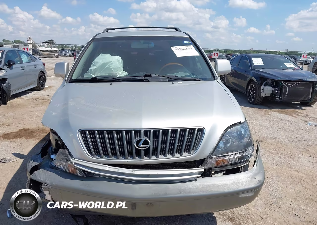 2003 Lexus Rx 300 VIN:JTJHF10U230301865 - 12