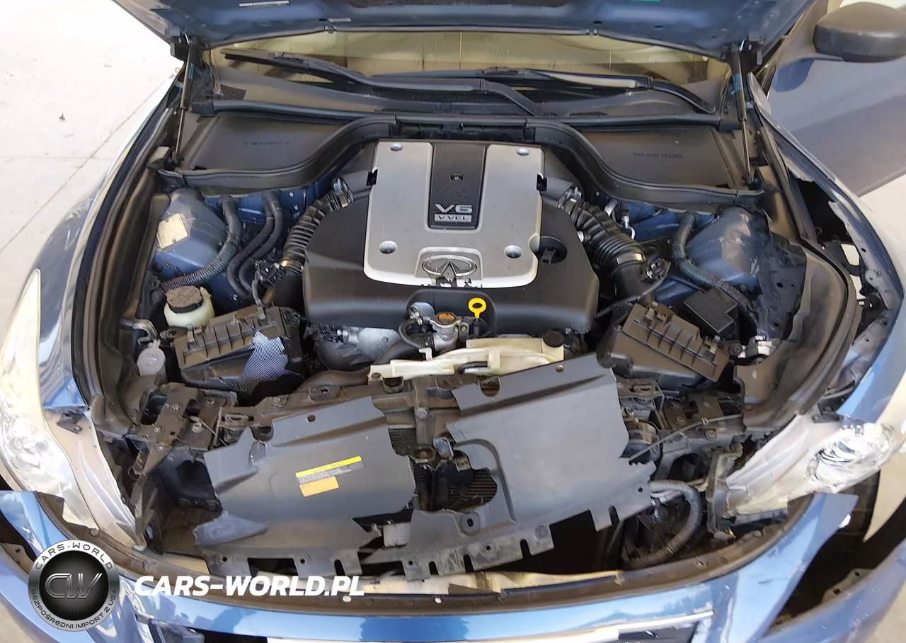 2010 Infiniti G37 Journey VIN:JN1CV6EK1AM102870 - 10