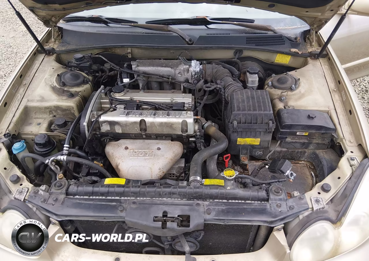 2004 Hyundai Sonata VIN:KMHWF25SX4A090302 - 10