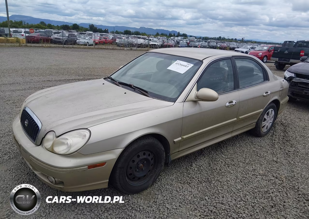 2004 Hyundai Sonata VIN:KMHWF25SX4A090302 - 2