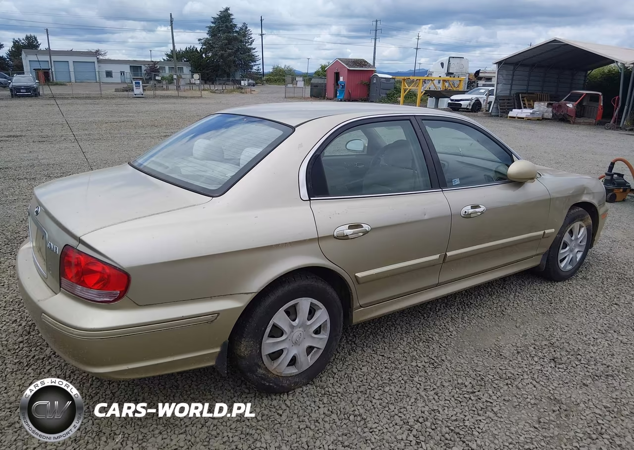 2004 Hyundai Sonata VIN:KMHWF25SX4A090302 - 4