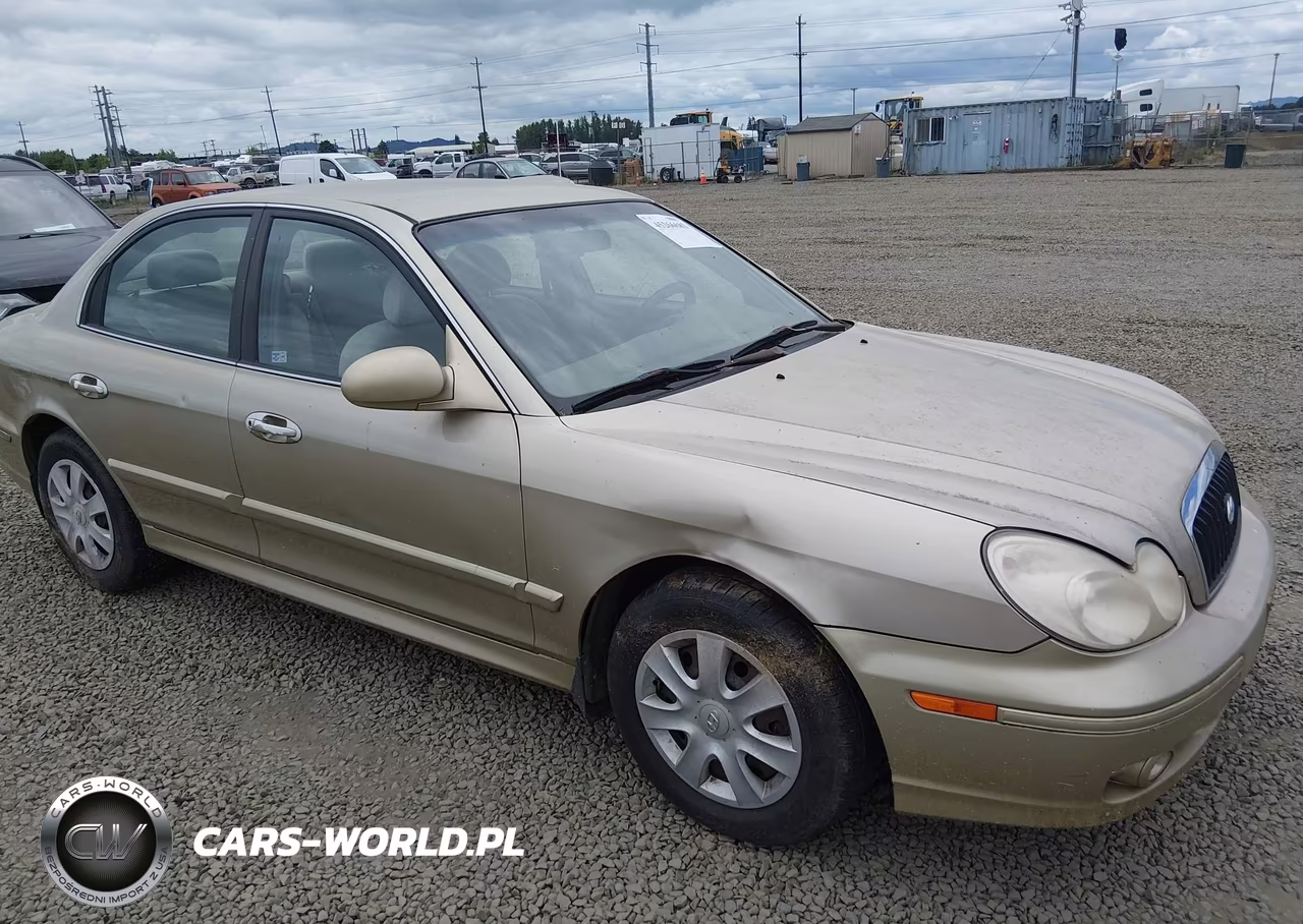 2004 Hyundai Sonata VIN:KMHWF25SX4A090302 - 6