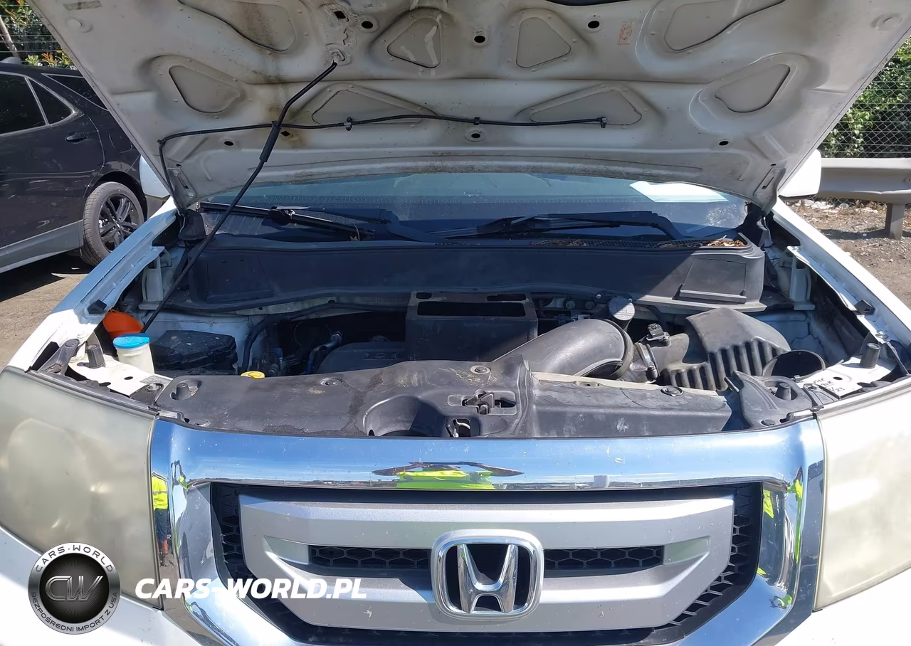 2010 Honda Pilot Ex-L VIN:5FNYF3H57AB001247 - 10